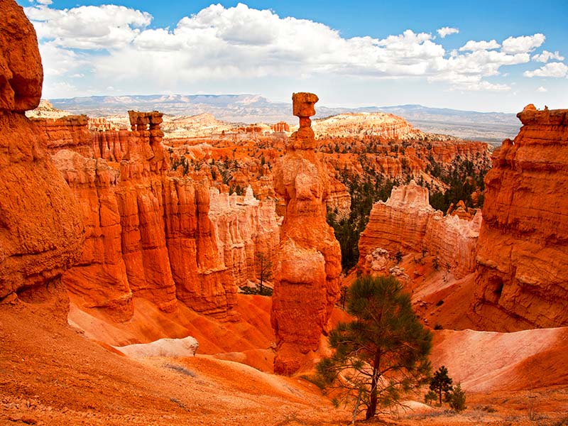 Voyage organisé dans l'Ouest américain